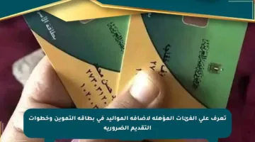 تعرف على الفئات المؤهلة لإضافة المواليد في بطاقة التموين وخطوات التقديم الضرورية